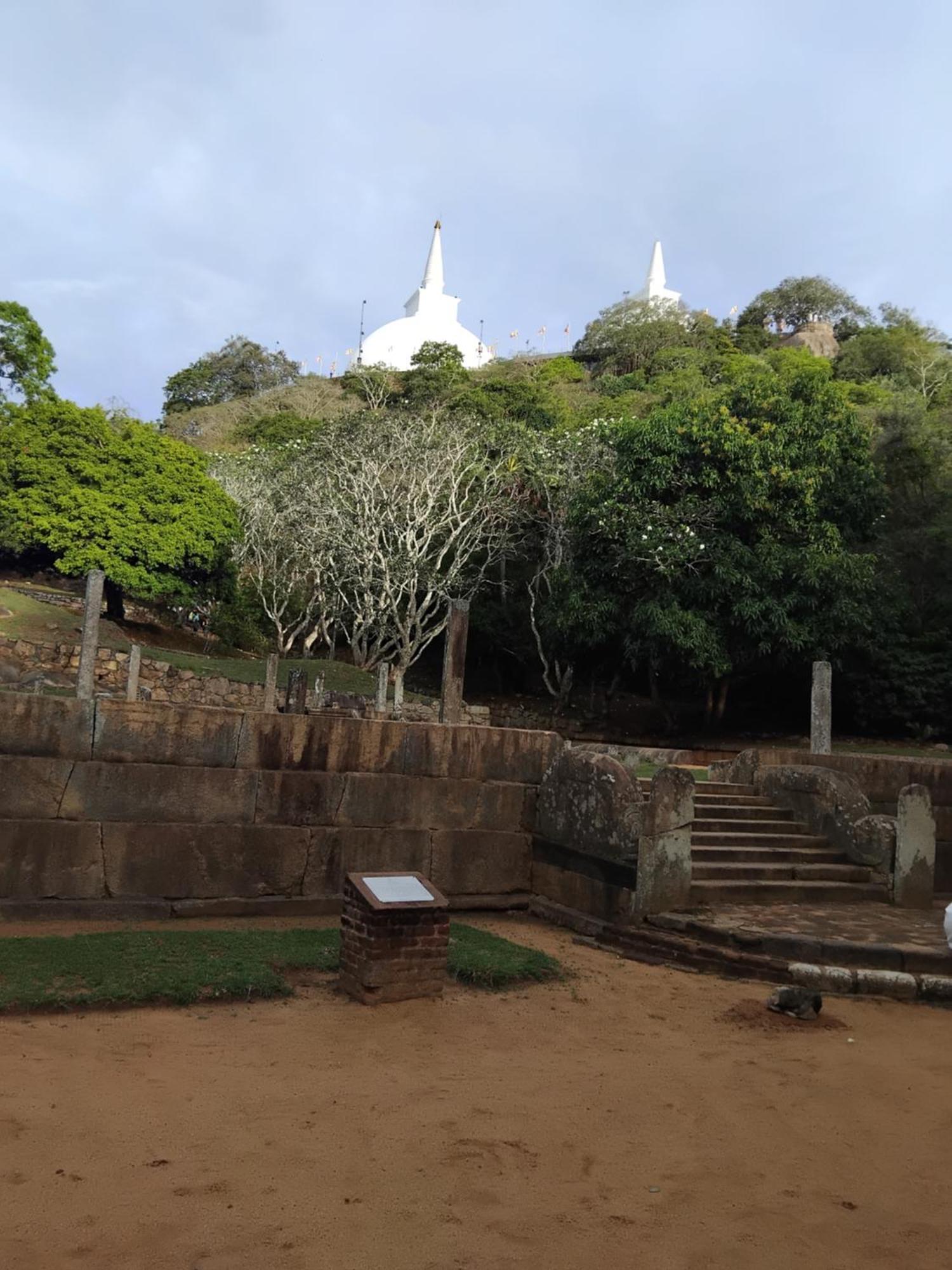 Goalma Family Holiday Resort & Restaurant Anuradhapura Exterior photo